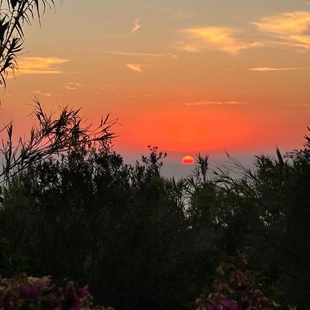 Villa Moma Giardino, Tennis E Piscina Panoramica Ischia Exterior foto