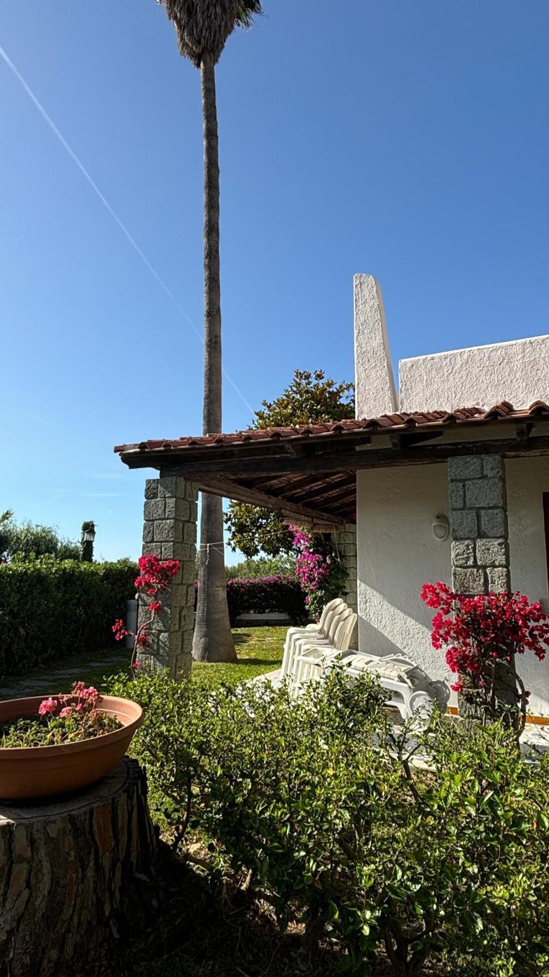 Villa Moma Giardino, Tennis E Piscina Panoramica Ischia Exterior foto