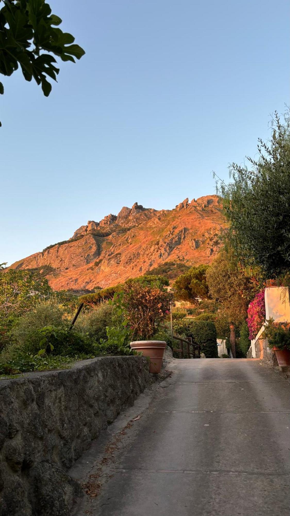 Villa Moma Giardino, Tennis E Piscina Panoramica Ischia Exterior foto