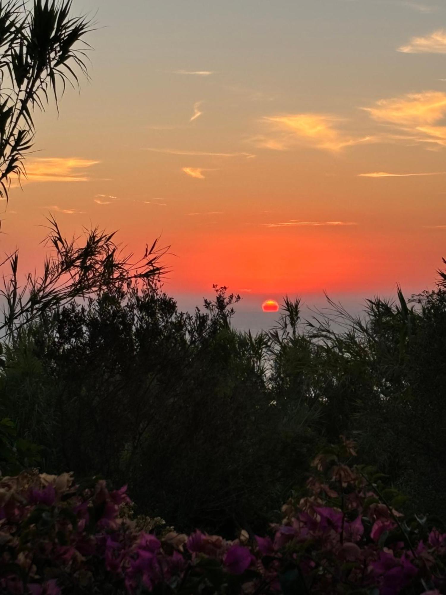 Villa Moma Giardino, Tennis E Piscina Panoramica Ischia Exterior foto
