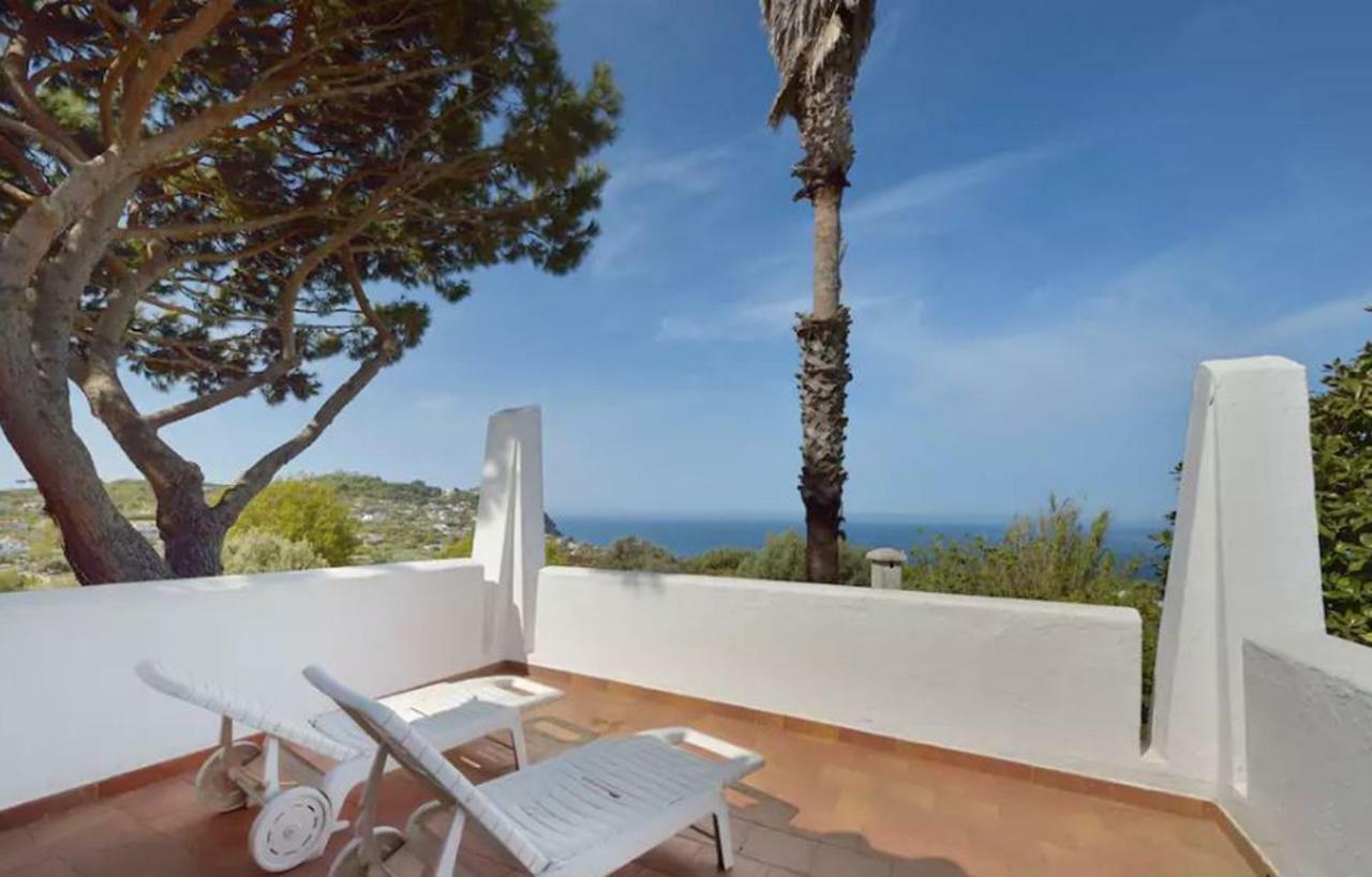 Villa Moma Giardino, Tennis E Piscina Panoramica Ischia Exterior foto
