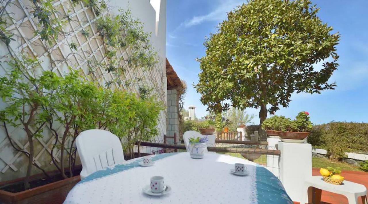 Villa Moma Giardino, Tennis E Piscina Panoramica Ischia Exterior foto
