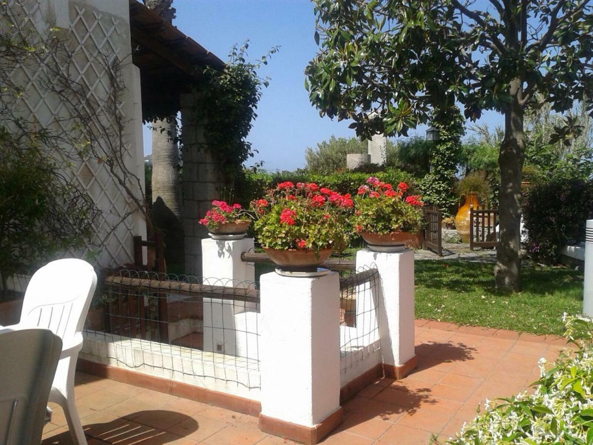 Villa Moma Giardino, Tennis E Piscina Panoramica Ischia Exterior foto